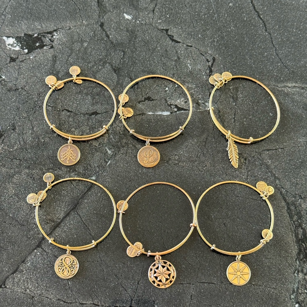 Alex and Ani Rafaelian Gold Charm Bangle Set - Stack of 6